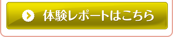 体験レポートはこちら